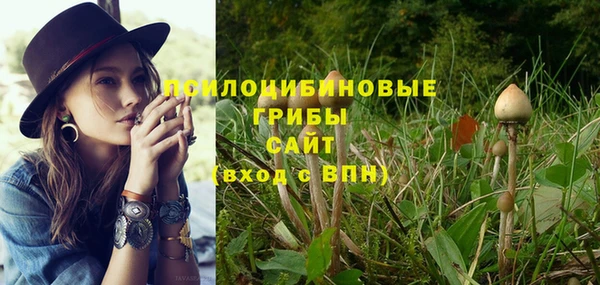 альфа пвп Богданович