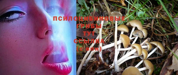 ALPHA PVP Богородицк