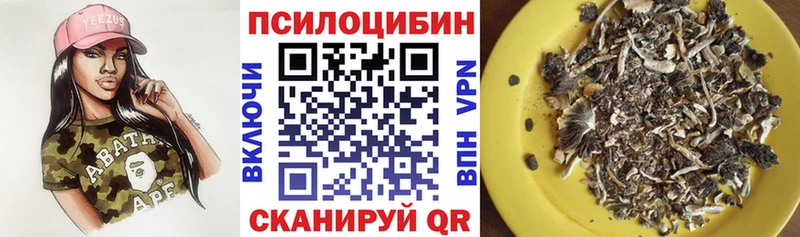наркота  Тольятти  Псилоцибиновые грибы мицелий 